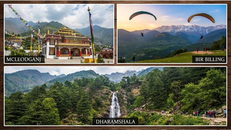 Dharamshala McLeodganj Bir Billing Tour | SINGH CAR RENTAL